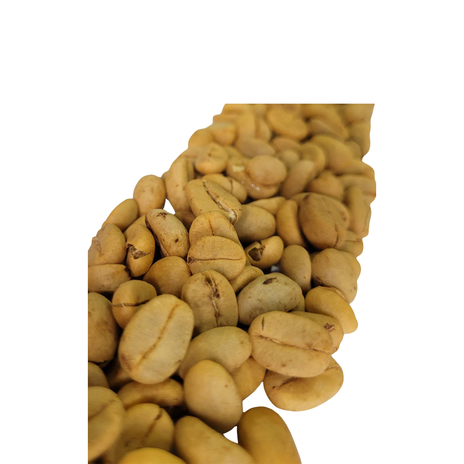 Café Amatista Semilavado – Finca El Paraíso - Image 4